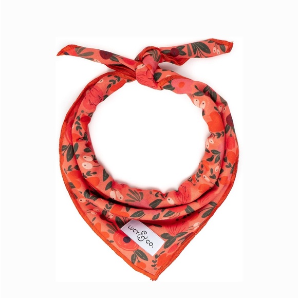 New Lucy & Co. Floral Dog Bandana - Posy Pink (Small) - Picture 1 of 5